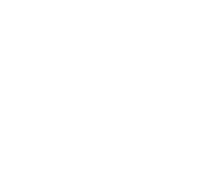 少数精鋭