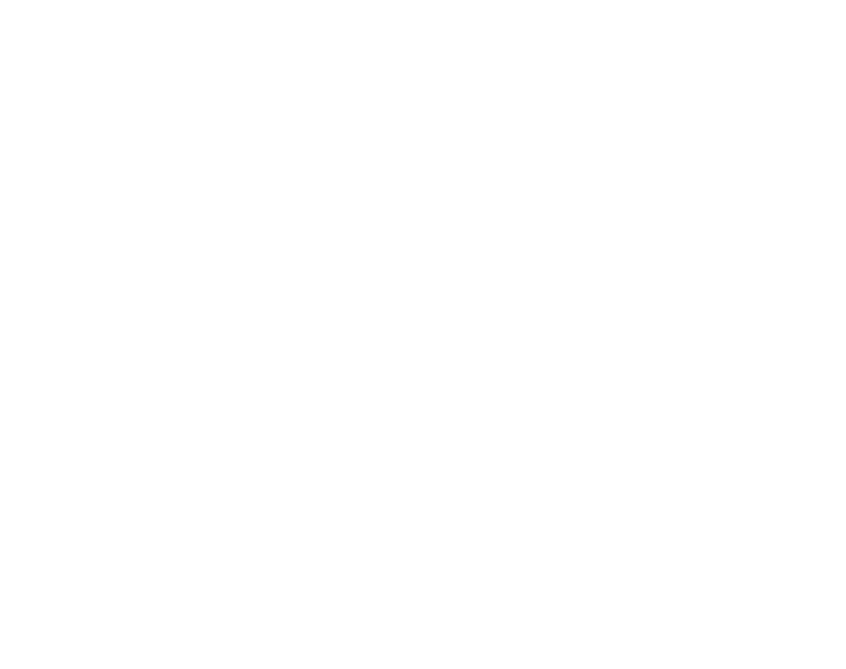 スピードと決断力